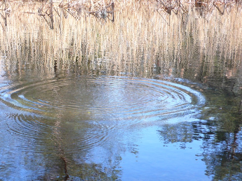 water_ripples